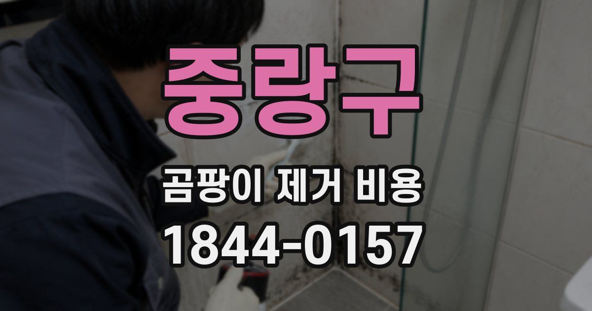 중랑구 곰팡이 제거 비용