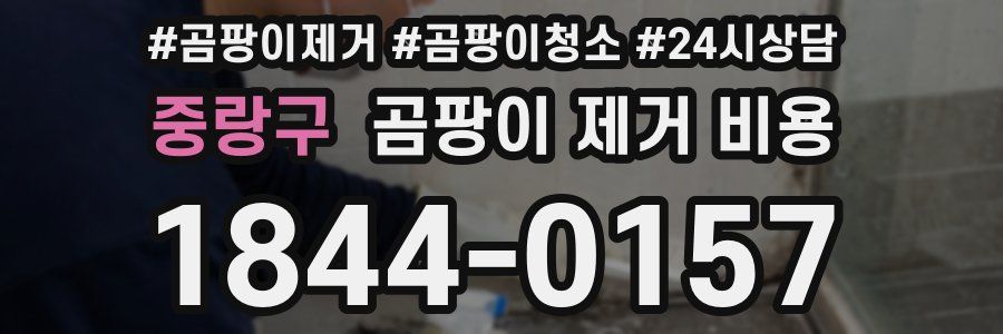 중랑구 곰팡이 제거 비용