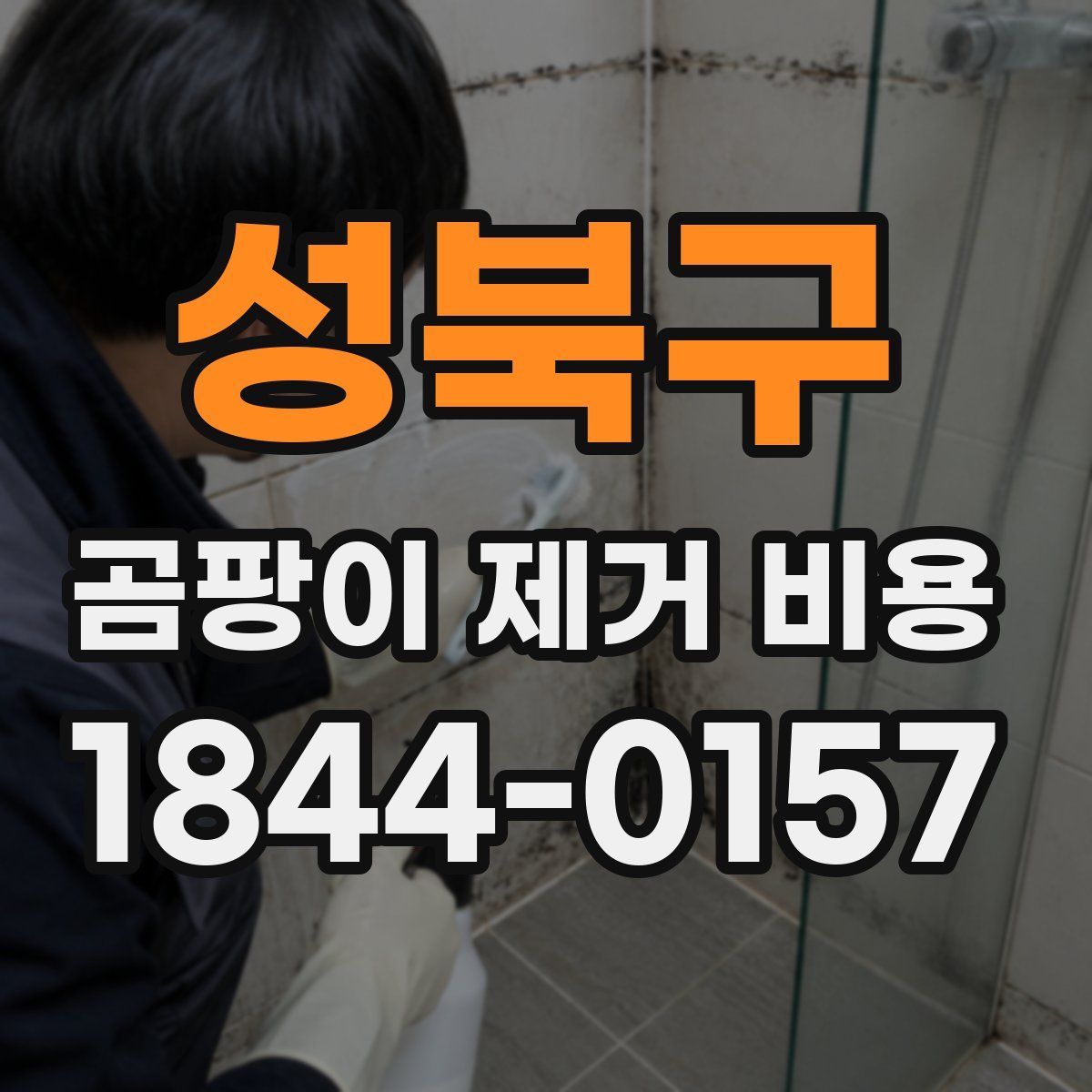 성북구 곰팡이 제거 비용