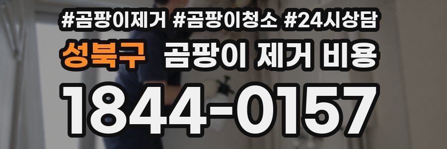 성북구 곰팡이 제거 비용