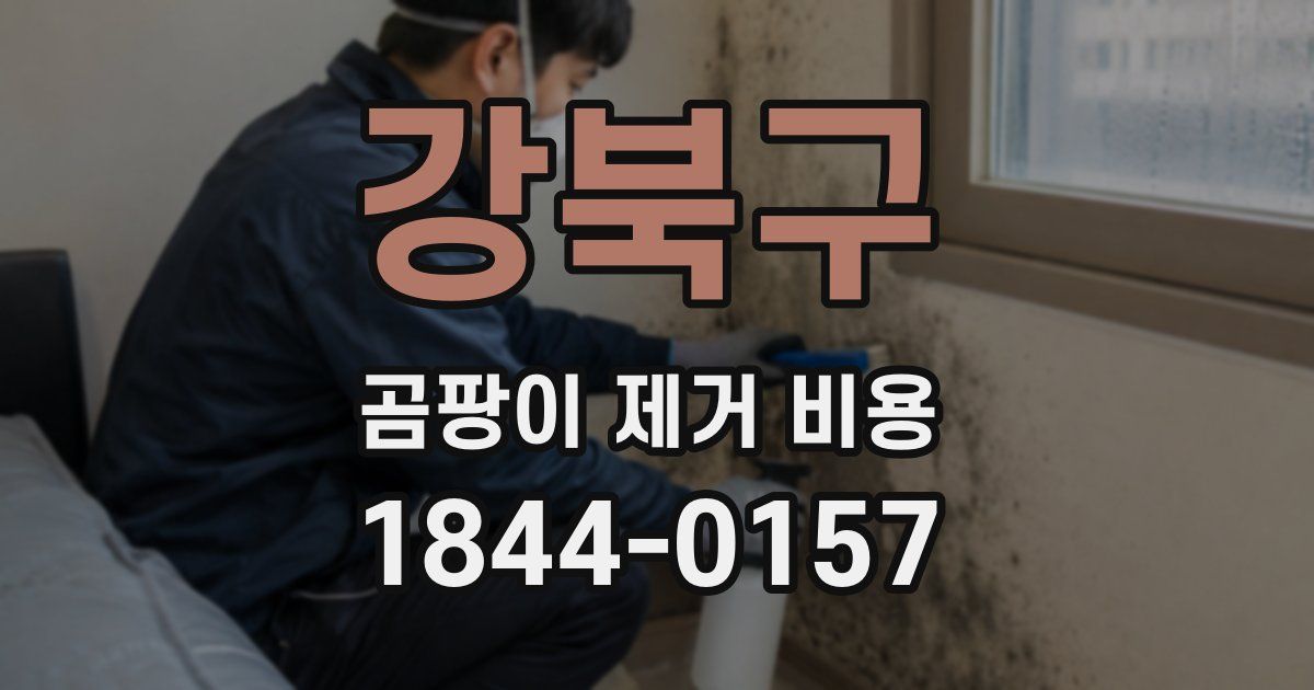 강북구 곰팡이 제거 비용