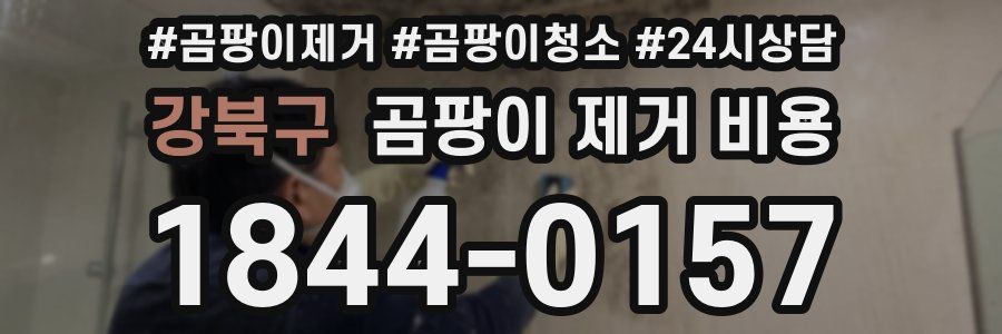 강북구 곰팡이 제거 비용