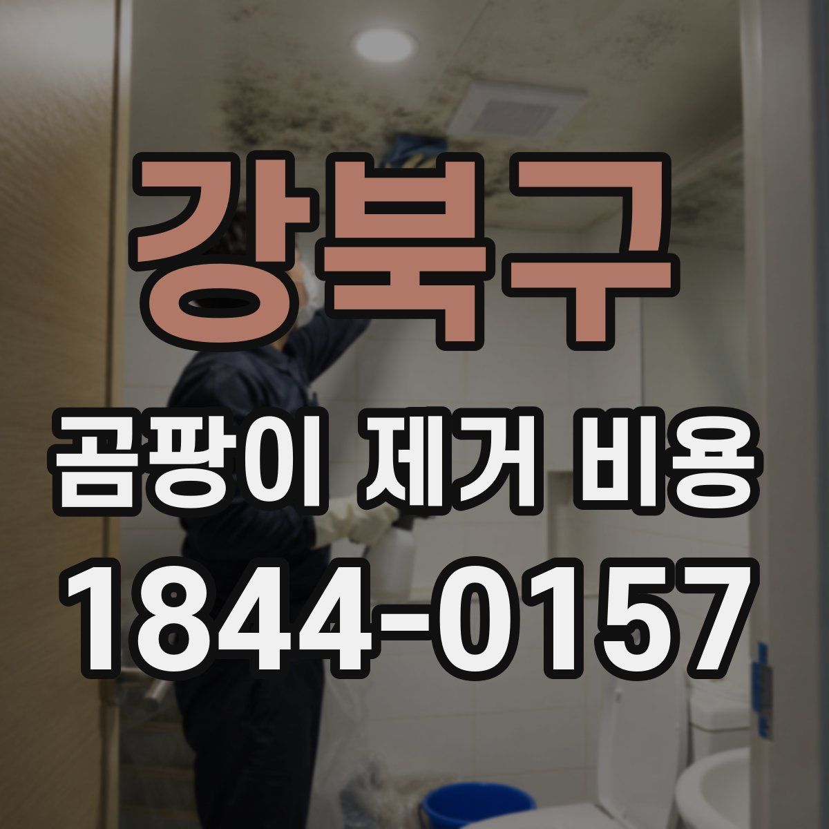 강북구 곰팡이 제거 비용