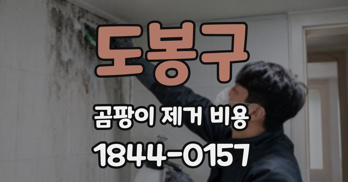 도봉구 곰팡이 제거 비용