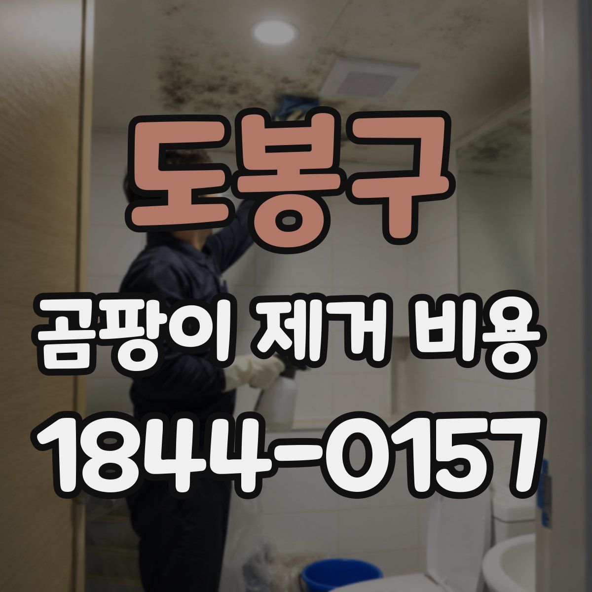 도봉구 곰팡이 제거 비용