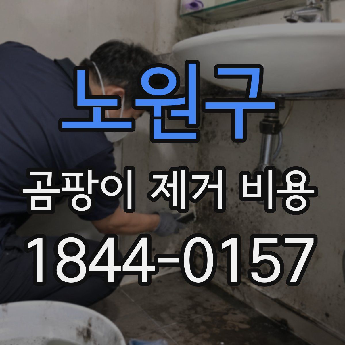 노원구 곰팡이 제거 비용