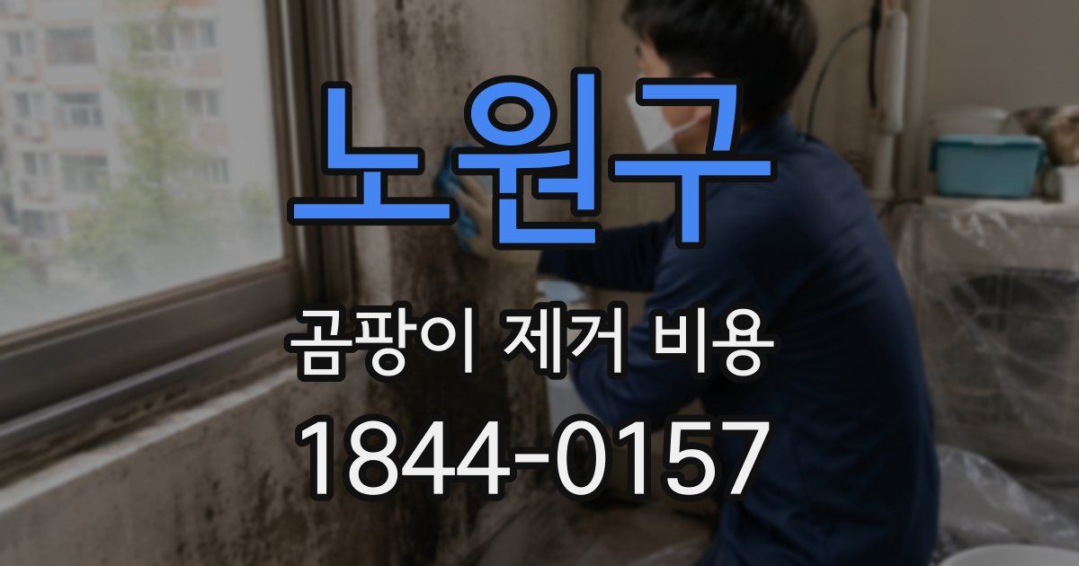 노원구 곰팡이 제거 비용