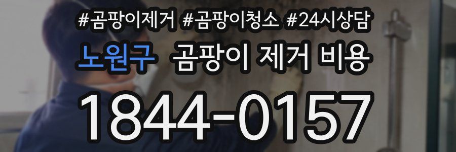 노원구 곰팡이 제거 비용
