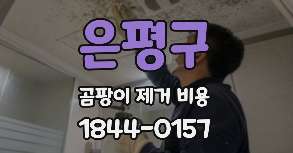 은평구 곰팡이 제거 비용