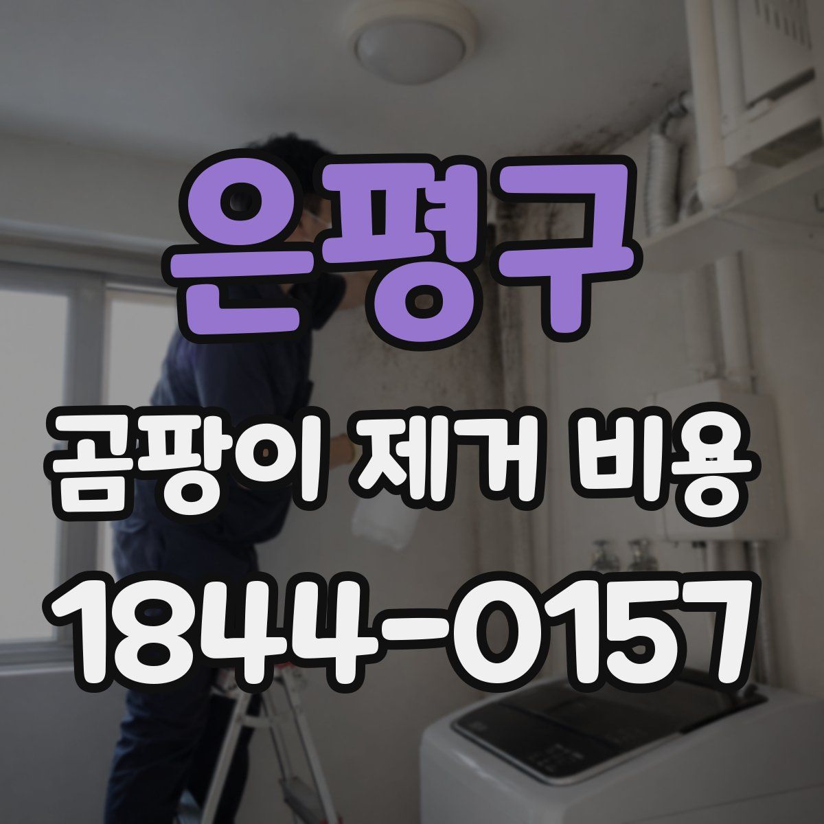 은평구 곰팡이 제거 비용