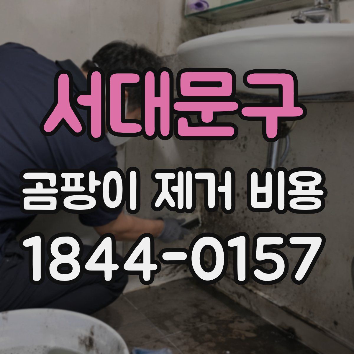 서대문구 곰팡이 제거 비용
