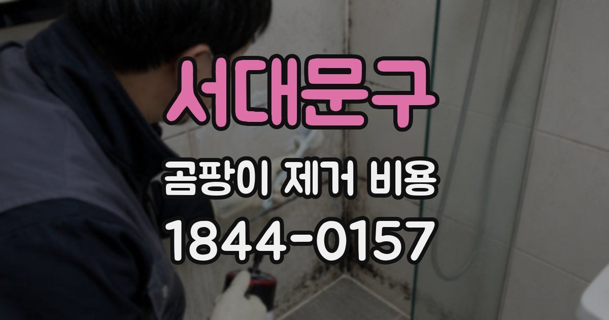 서대문구 곰팡이 제거 비용