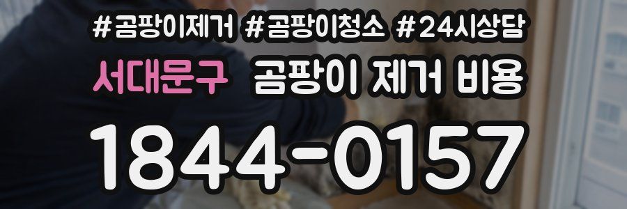 서대문구 곰팡이 제거 비용