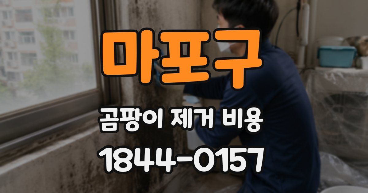 마포구 곰팡이 제거 비용