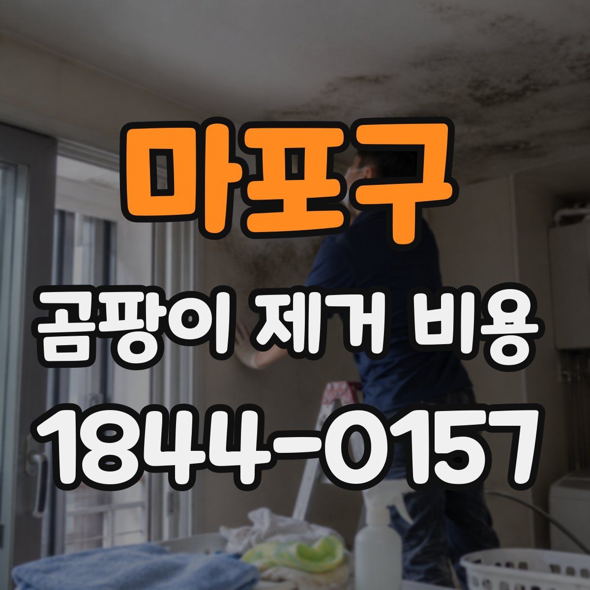 마포구 곰팡이 제거 비용