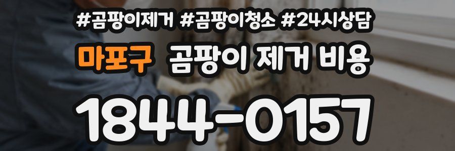 마포구 곰팡이 제거 비용