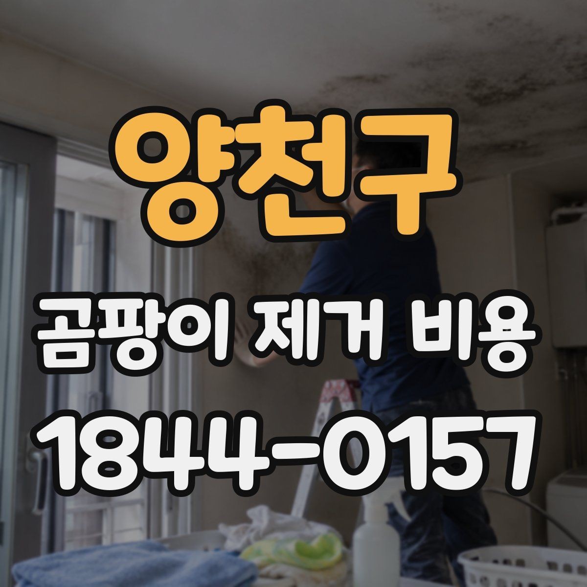 양천구 곰팡이 제거 비용 추가 약품 사용 기준은 어떻게 정해질까