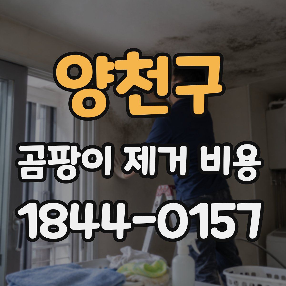 양천구 곰팡이 제거 비용