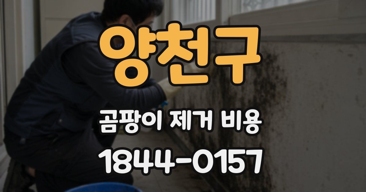양천구 곰팡이 제거 비용