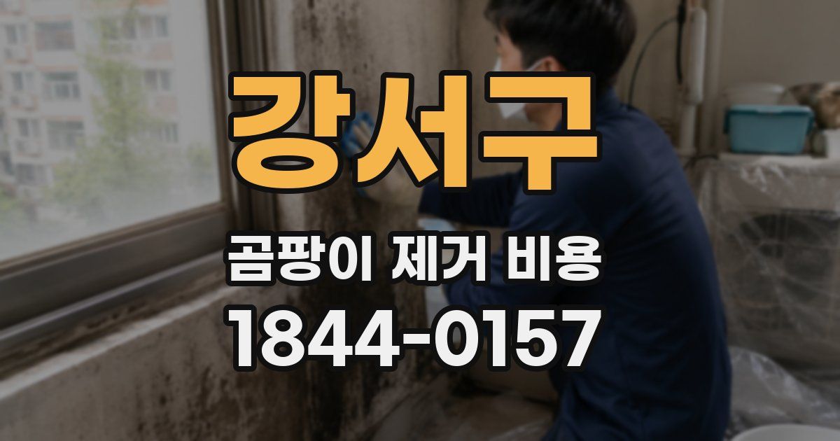 강서구 곰팡이 제거 비용