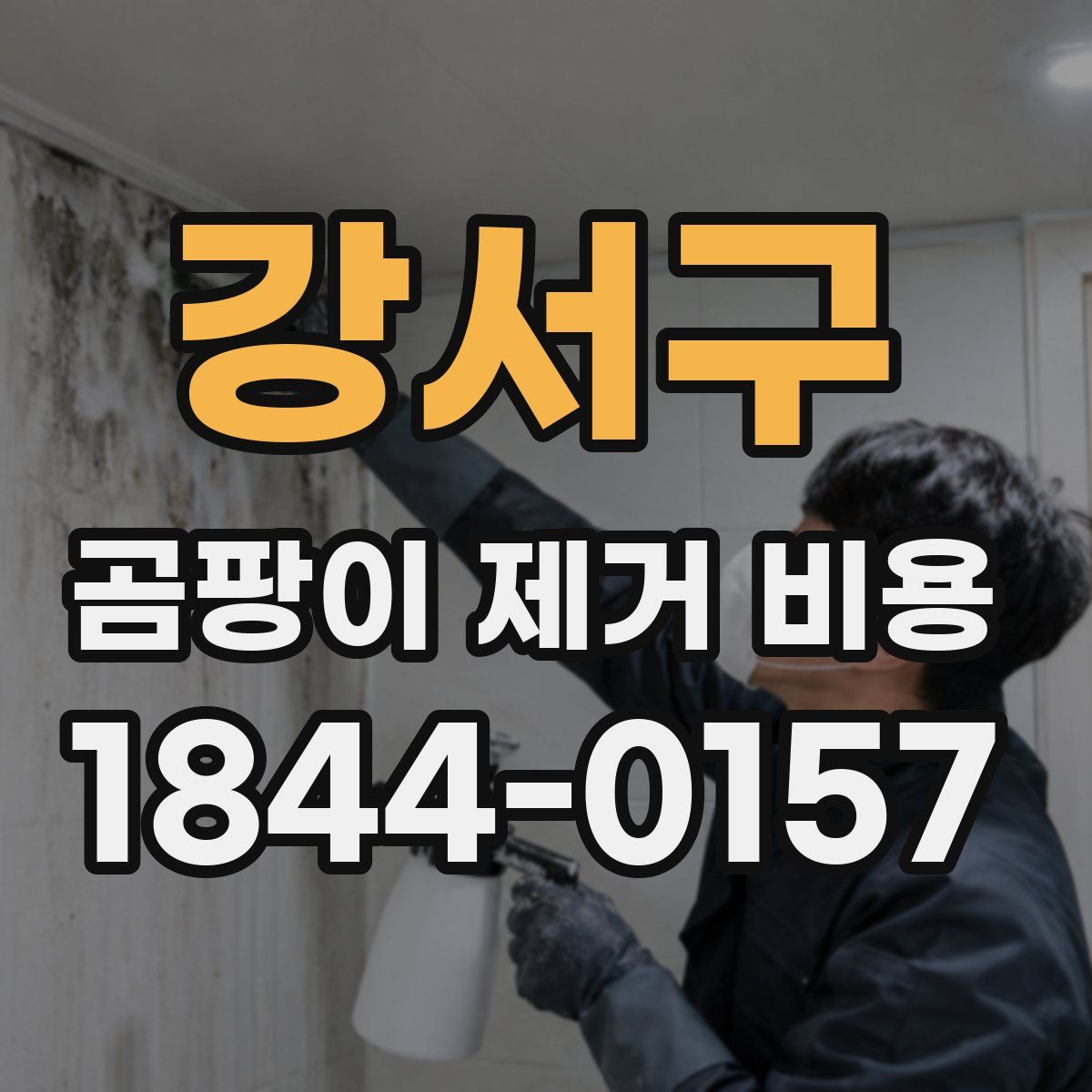 강서구 곰팡이 제거 비용