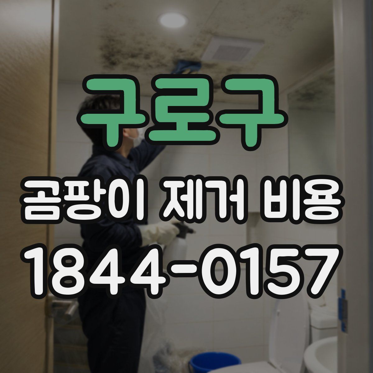 구로구 곰팡이 제거 비용