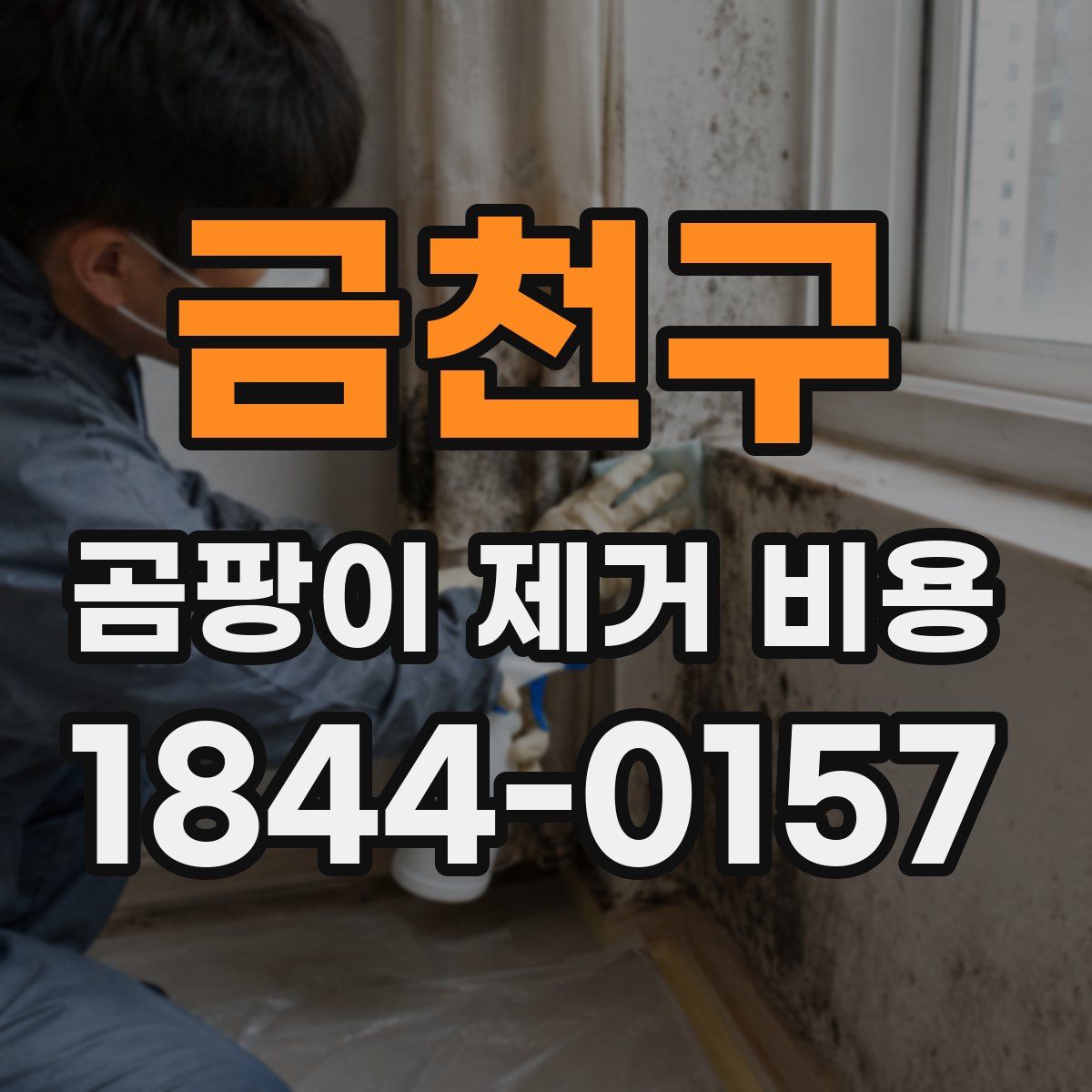 금천구 곰팡이 제거 비용