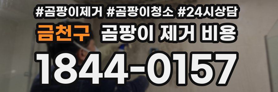 금천구 곰팡이 제거 비용