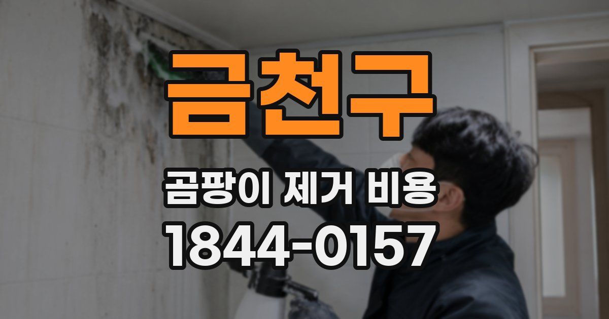 금천구 곰팡이 제거 비용