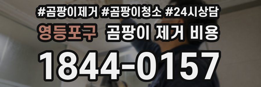 영등포구 곰팡이 제거 비용