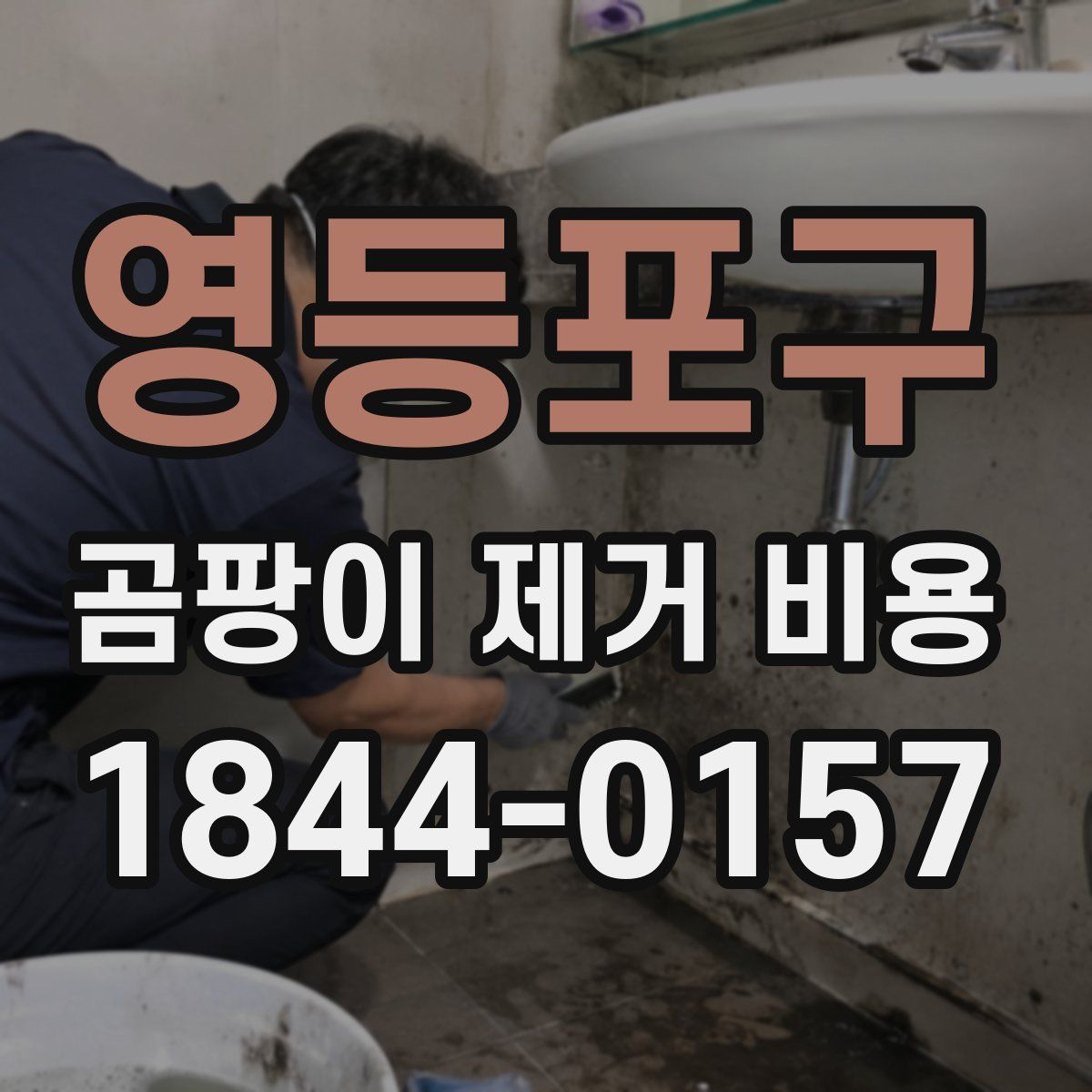 영등포구 곰팡이 제거 비용