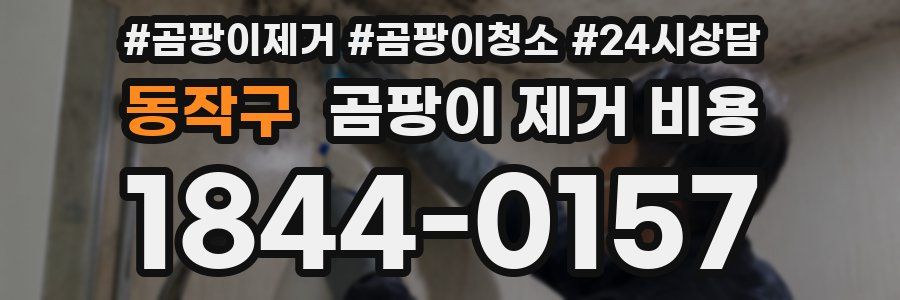 동작구 곰팡이 제거 비용