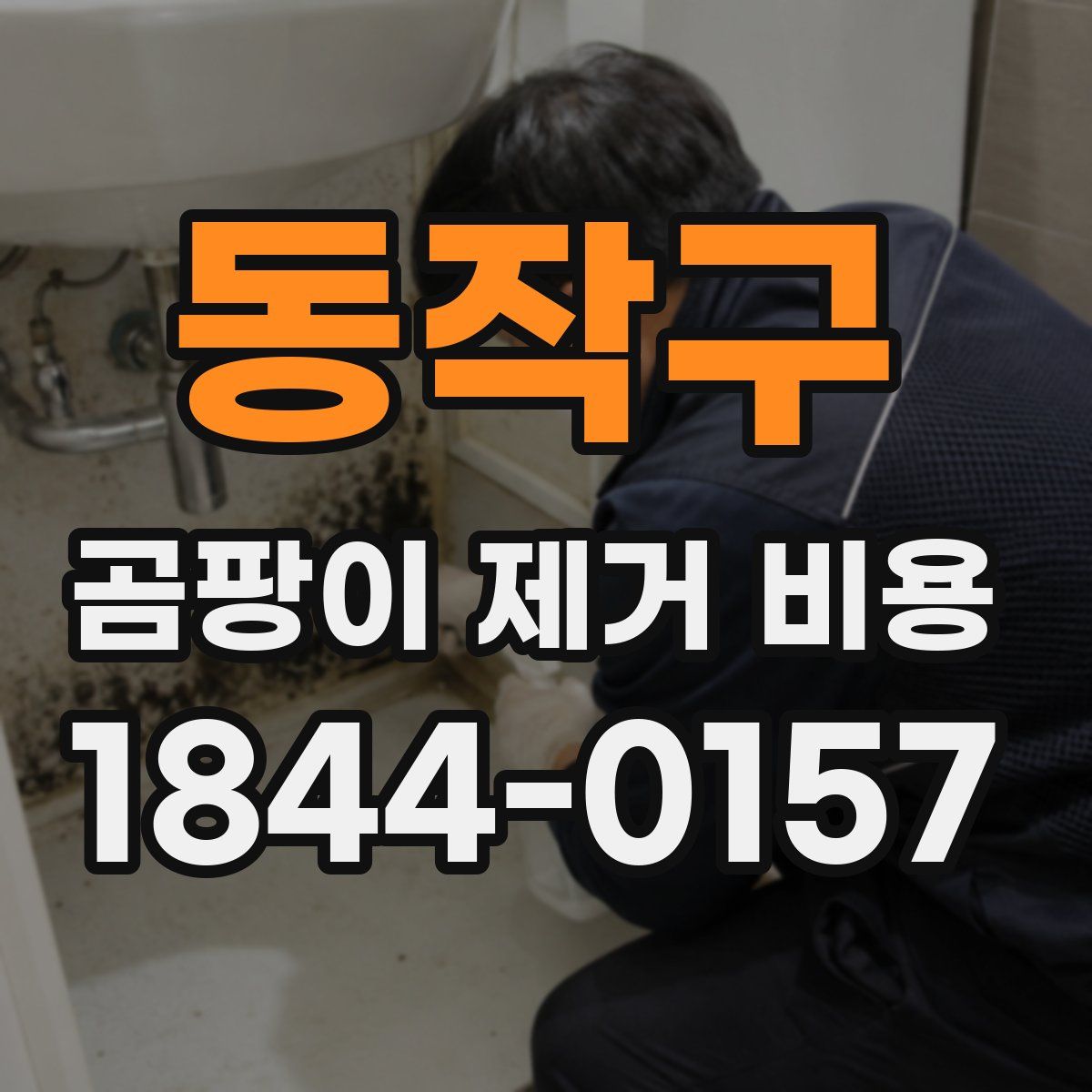 동작구 곰팡이 제거 비용