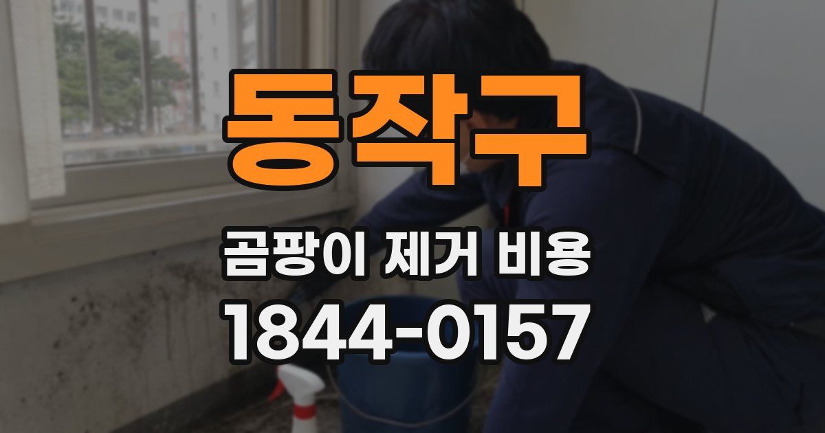 동작구 곰팡이 제거 비용