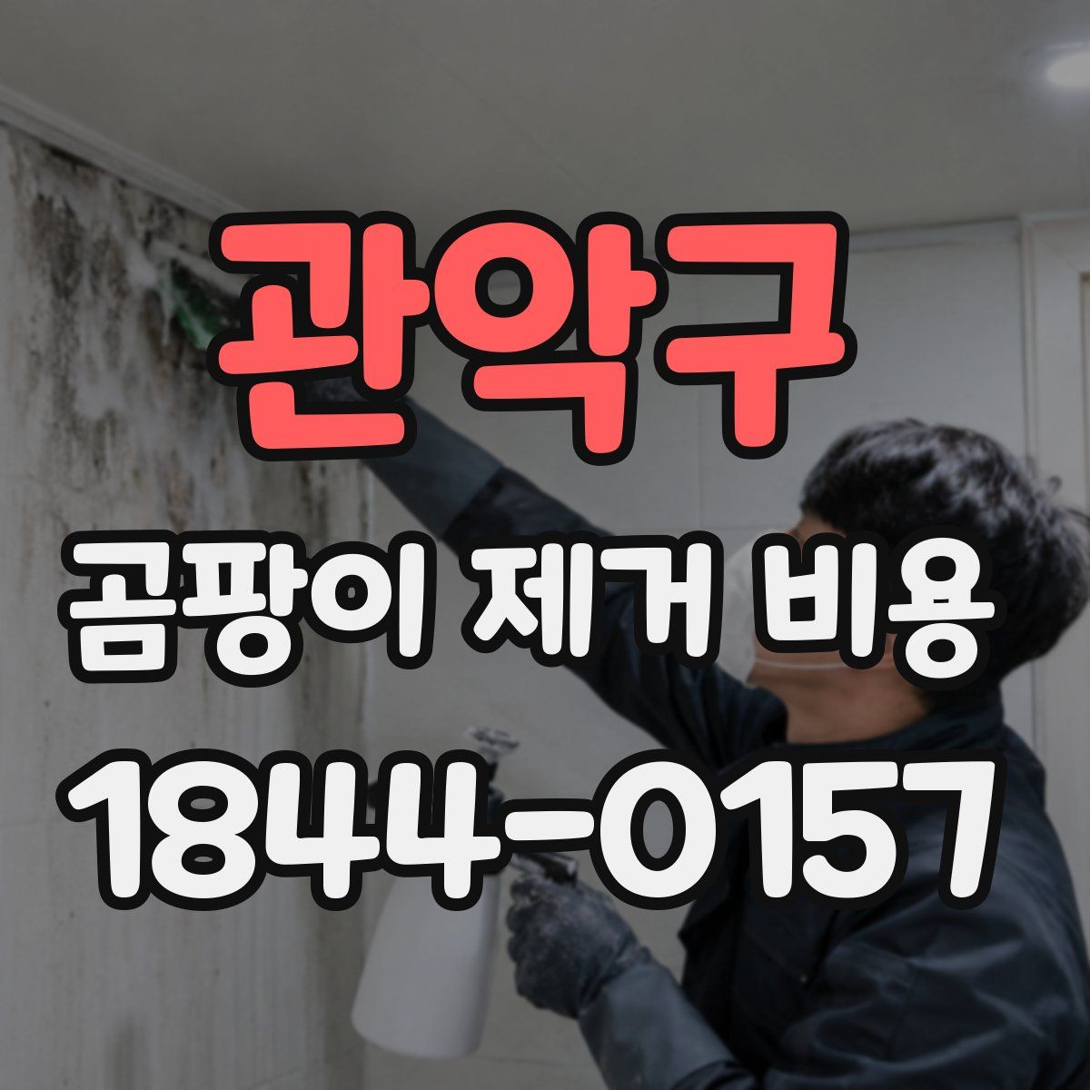 관악구 곰팡이 제거 비용