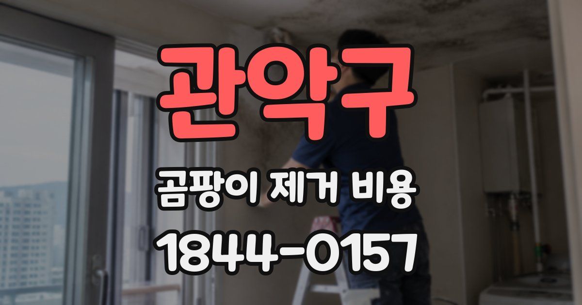 관악구 곰팡이 제거 비용