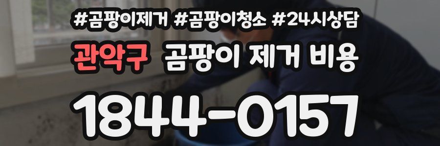 관악구 곰팡이 제거 비용
