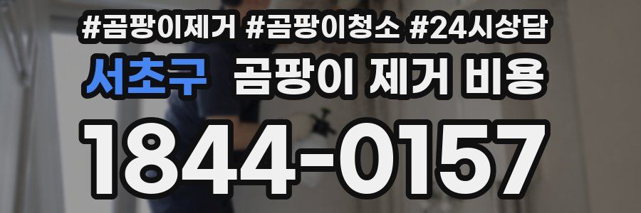 서초구 곰팡이 제거 비용