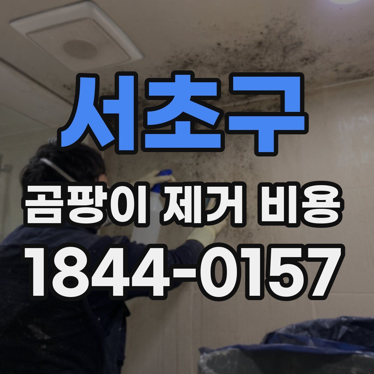 서초구 곰팡이 제거 비용