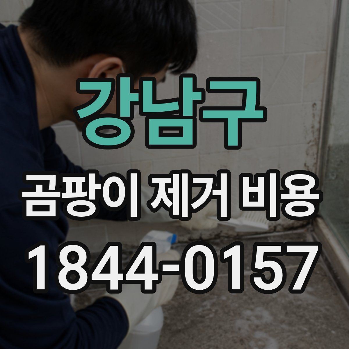 강남구 곰팡이 제거 비용 상가 내부와 세대 주거공간의 작업 차이