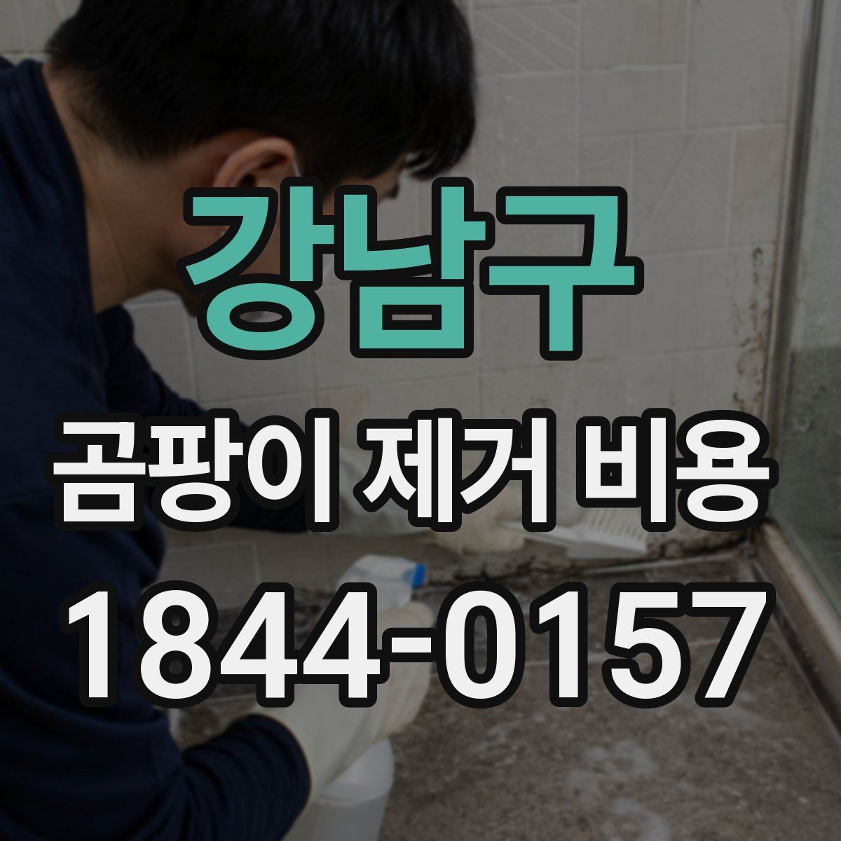 강남구 곰팡이 제거 비용