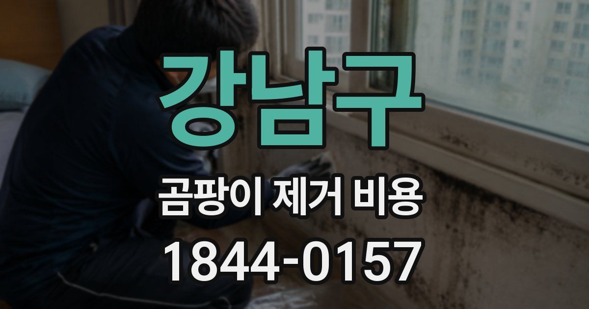 강남구 곰팡이 제거 비용