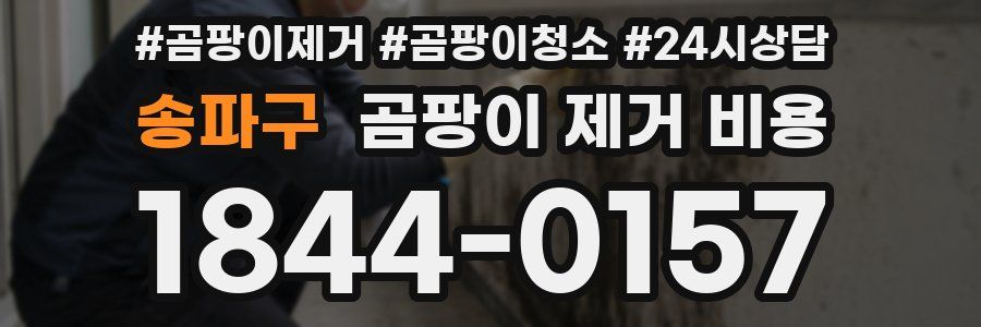 송파구 곰팡이 제거 비용