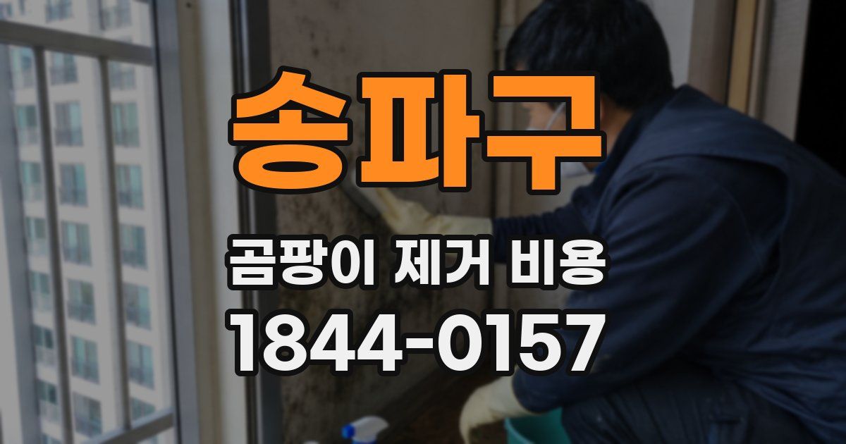송파구 곰팡이 제거 비용