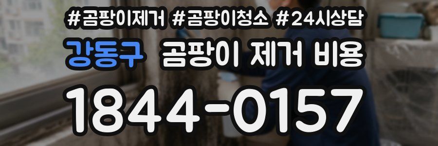 강동구 곰팡이 제거 비용