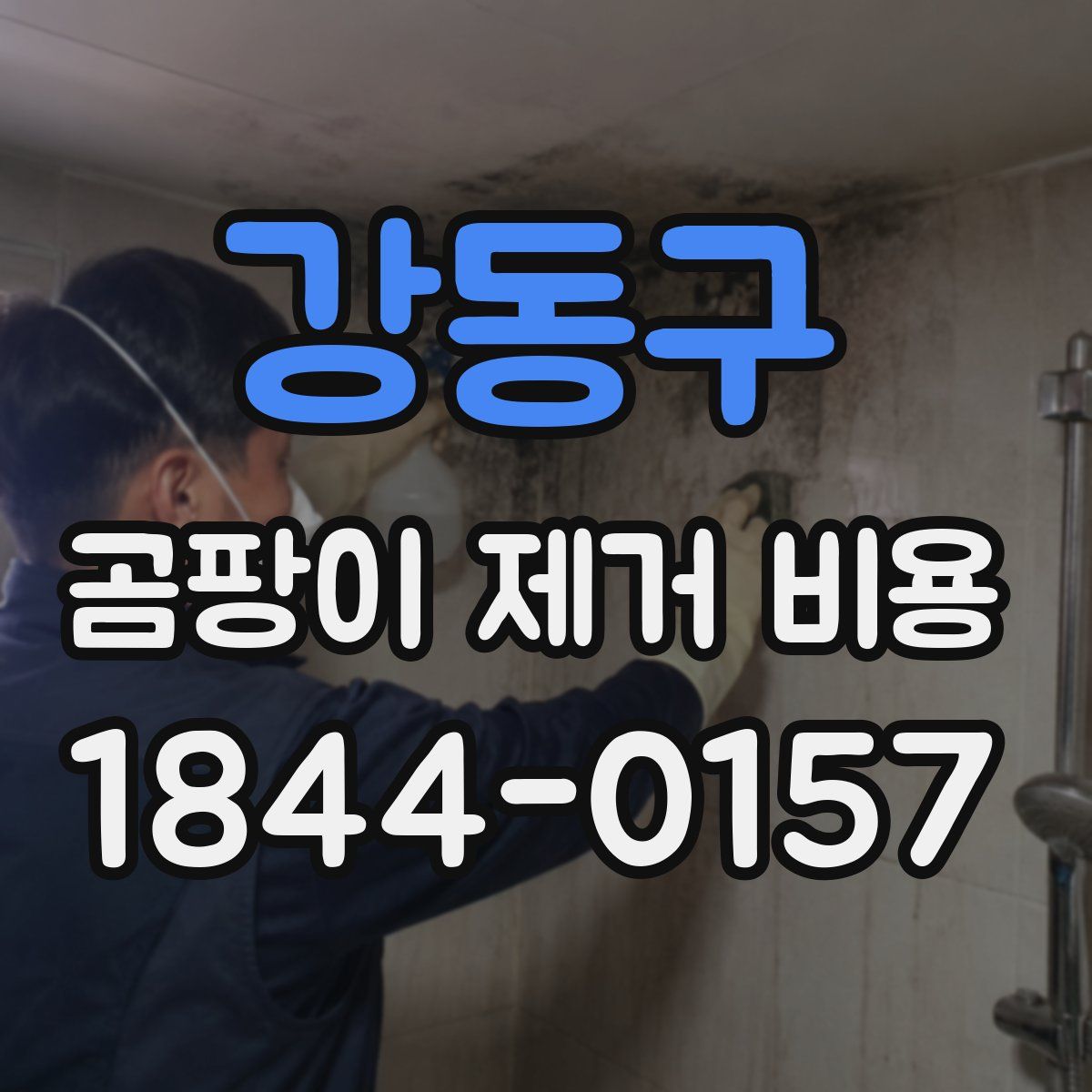 강동구 곰팡이 제거 비용
