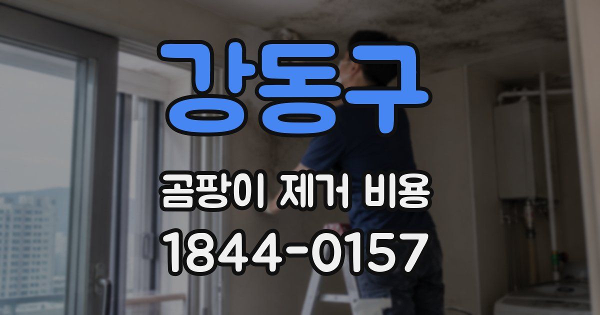강동구 곰팡이 제거 비용