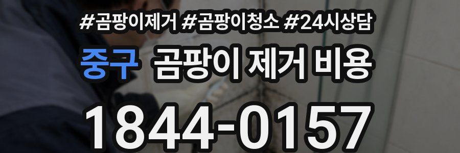 중구 곰팡이 제거 비용