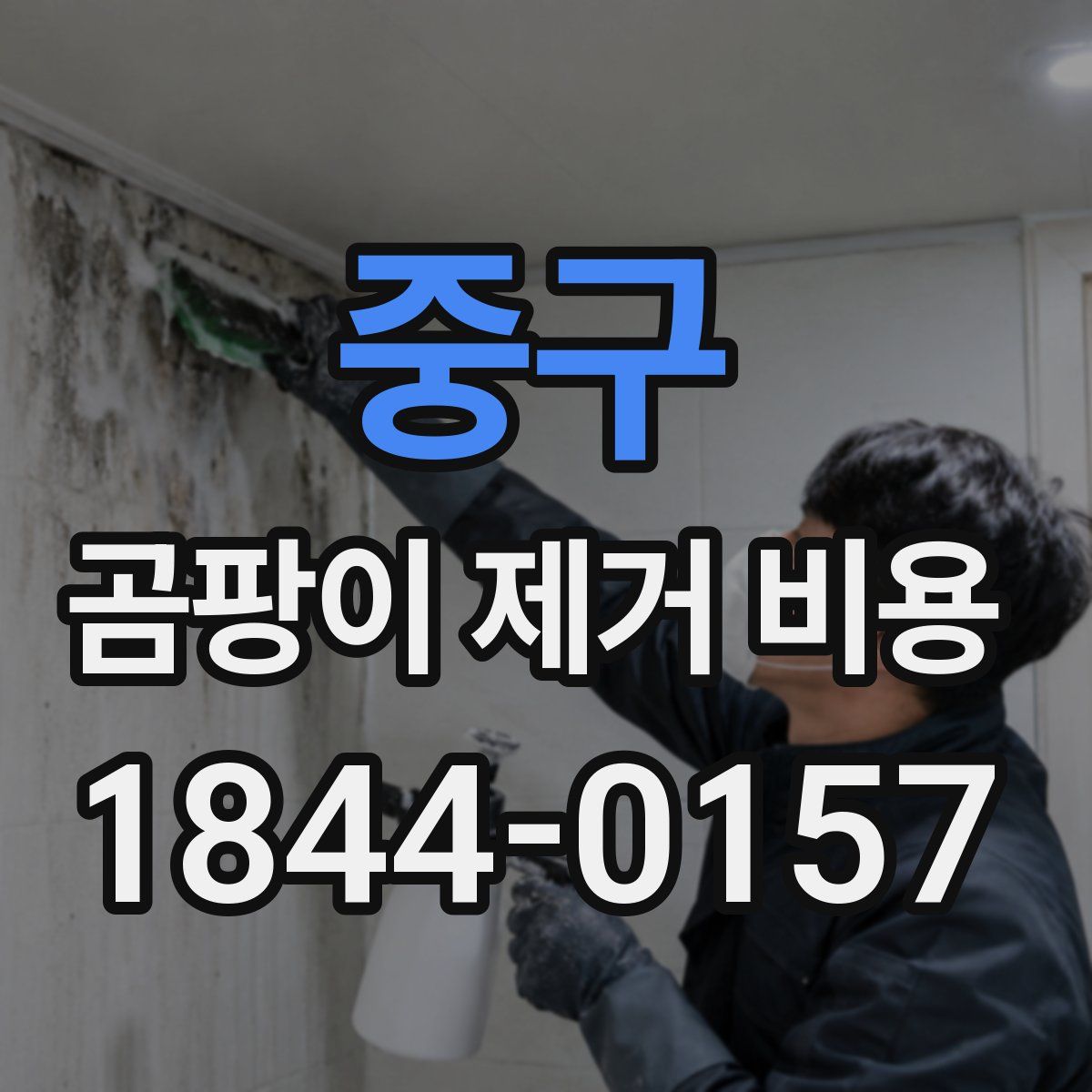 중구 곰팡이 제거 비용