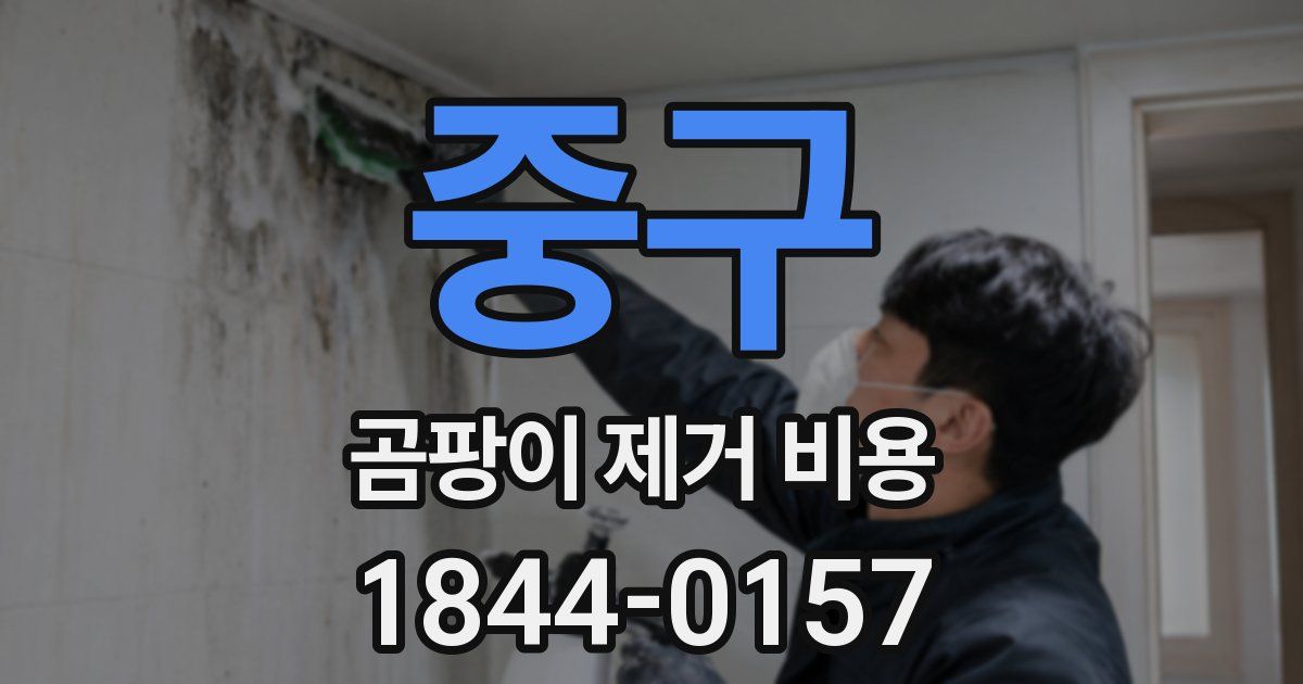 중구 곰팡이 제거 비용